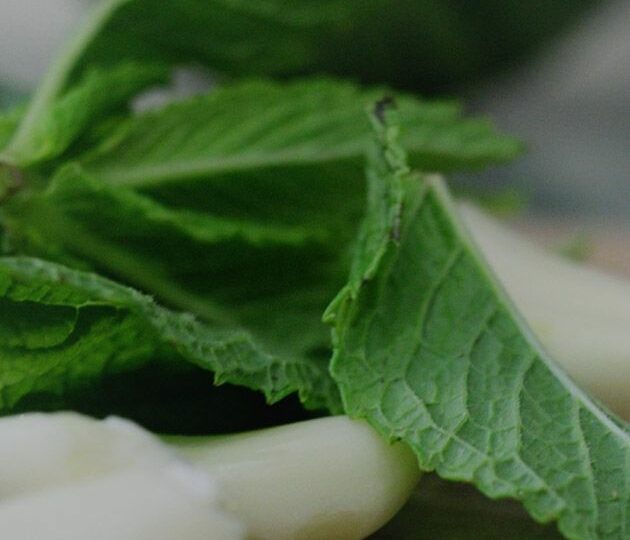 block1-compressed block1-compressed